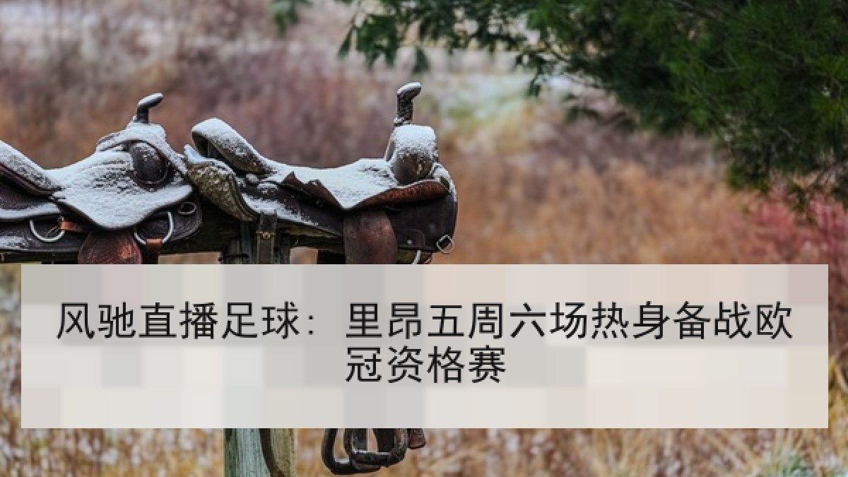 风驰直播足球: 里昂五周六场热身备战欧冠资格赛 风驰直播足球: 里昂五周六场热身备战欧冠资格赛