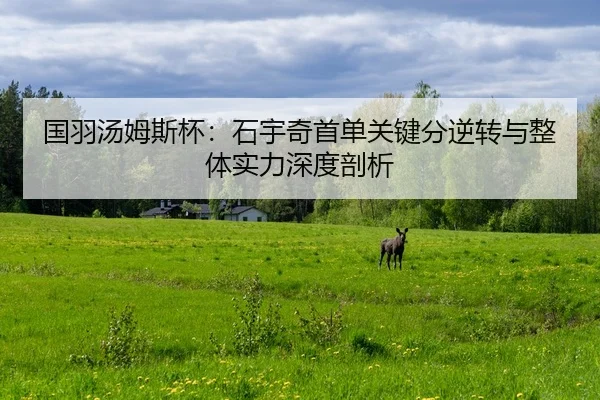 guo-yu-tang-mu-si-bei-shi-yu-qi-shou-dan-guan-jian-fen-ni-zhuan-yu-zheng-ti-shi-li-shen-du-pou-xi-2-522.jpg