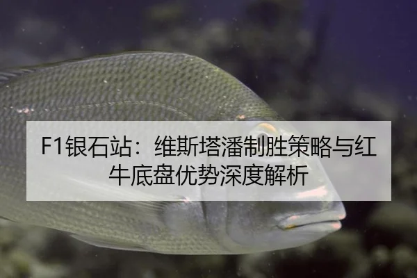 F1银石站：维斯塔潘制胜策略与红牛底盘优势深度解析